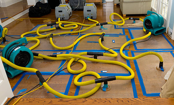 Professional Structural Drying And Dehumidification technician working in Springdale, NJ